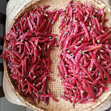 艳椒辣椒干辣椒香辣家用炒菜烹饪卤制火锅调味料批发商用