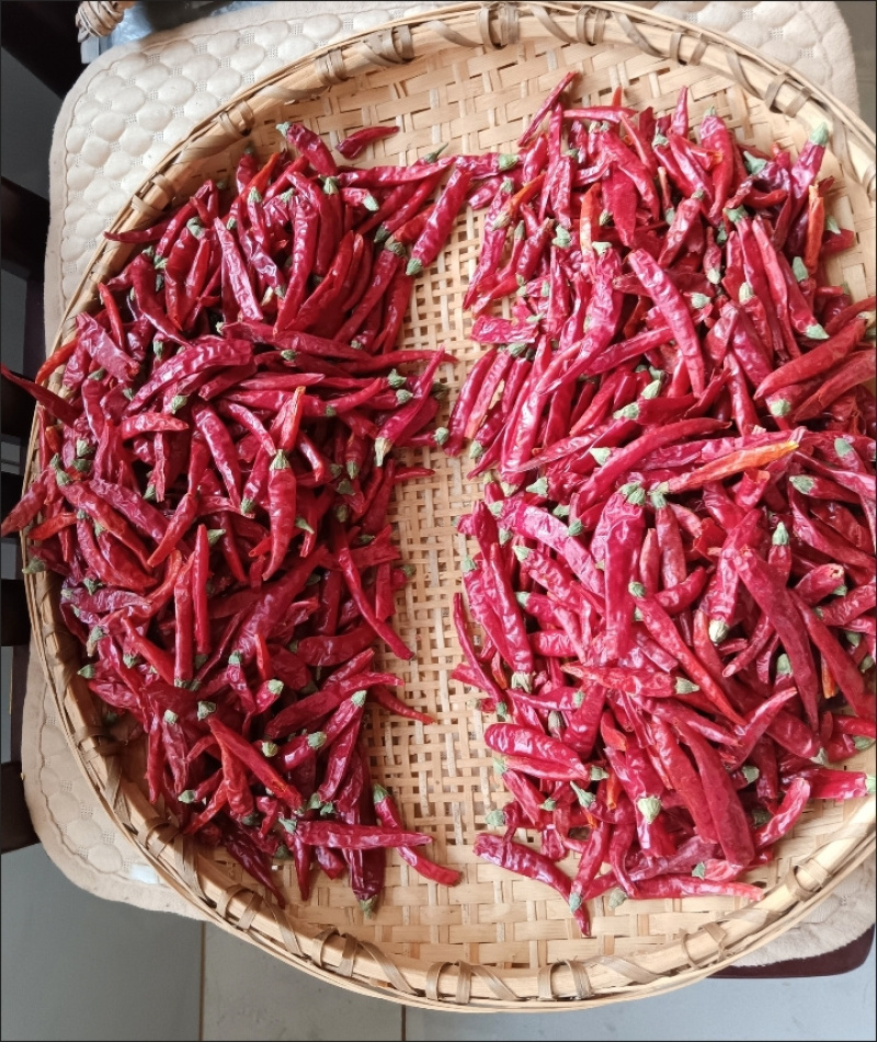 艳椒辣椒干辣椒香辣家用炒菜烹饪卤制火锅调味料批发商用