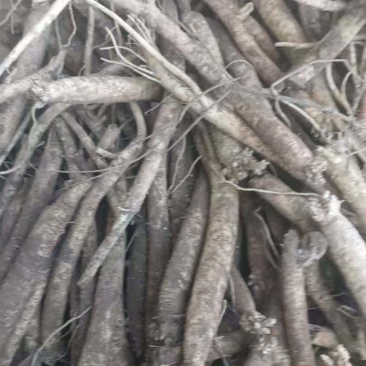 各种规格各种条子都有需要的老板联系啦