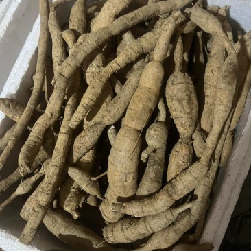 野生牛大力货源充足纯正***牛大力量大从优批发零售均可