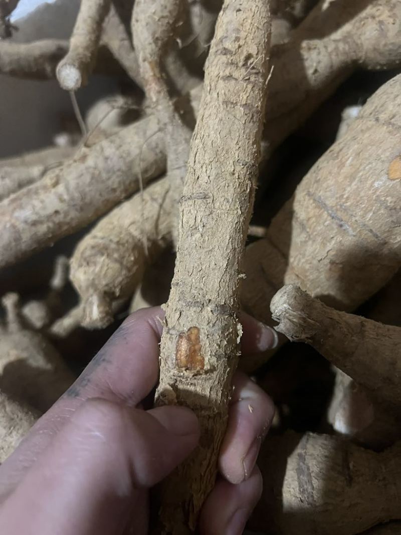 野生牛大力货源充足纯正***牛大力量大从优批发零售均可