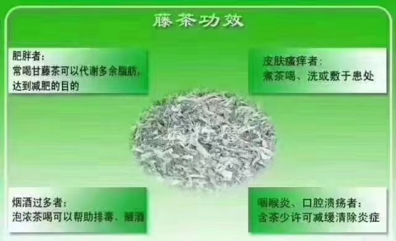 湘西州高山莓茶（藤茶）