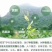 湘西州高山莓茶（藤茶）