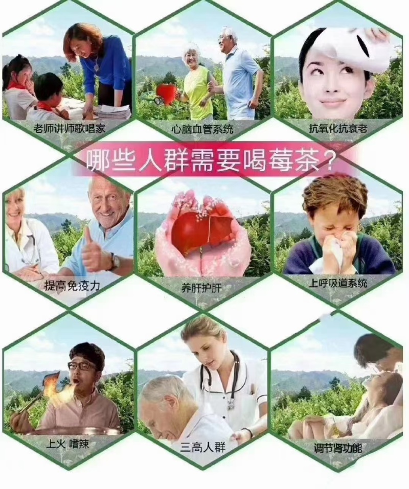 湘西州高山莓茶（藤茶）