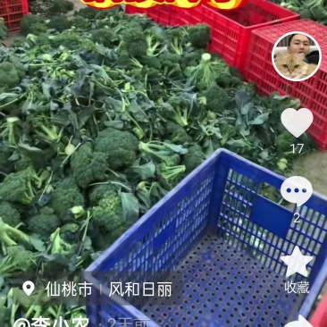 西兰花，红菜苔