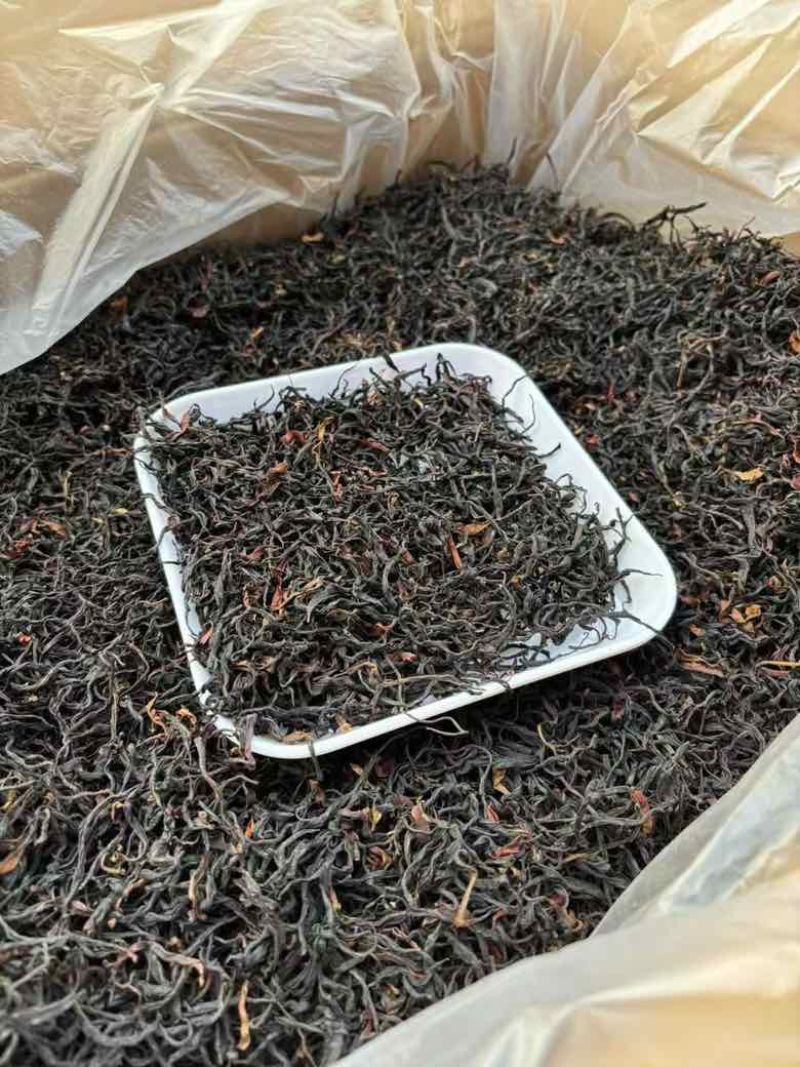 古树红茶