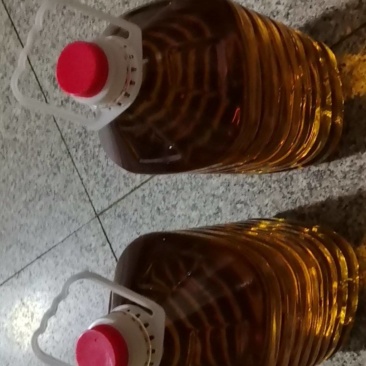 蕲北野生山茶油