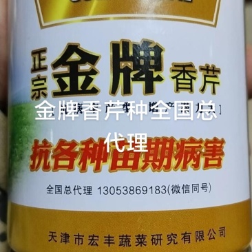 正宗金牌香芹种子