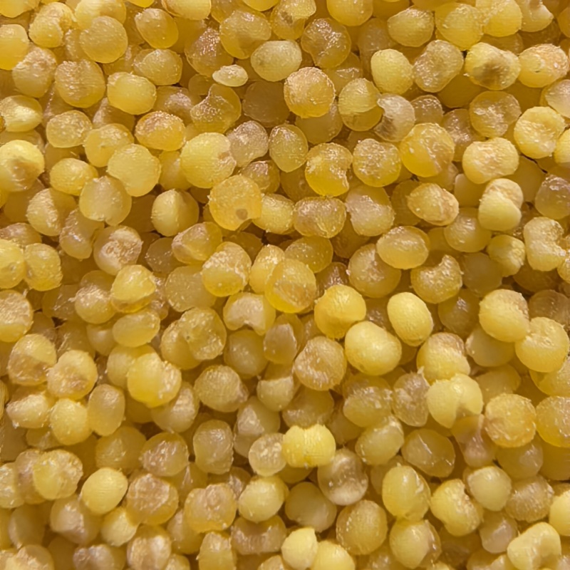 蔚县小米蔚州贡米