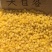 蔚县小米蔚州贡米