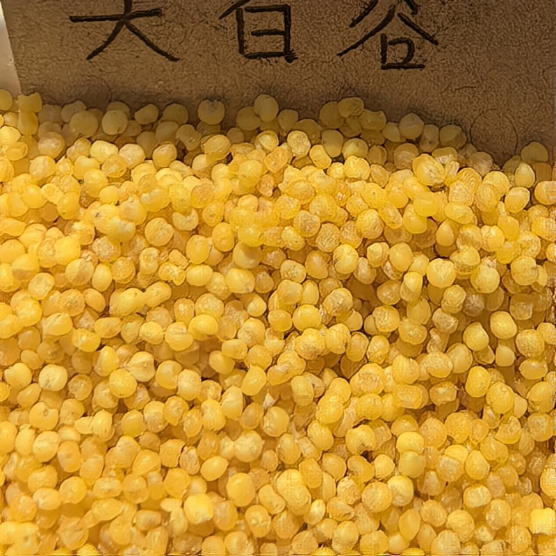 蔚县小米蔚州贡米