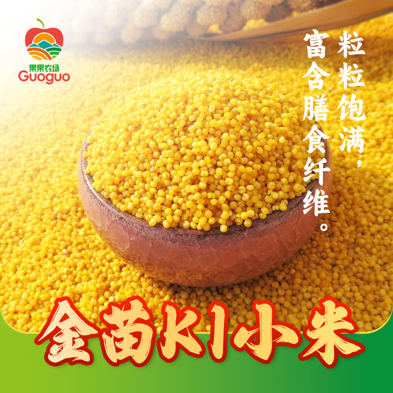 蔚县小米蔚州贡米