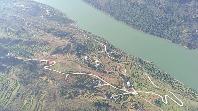 中华红橙