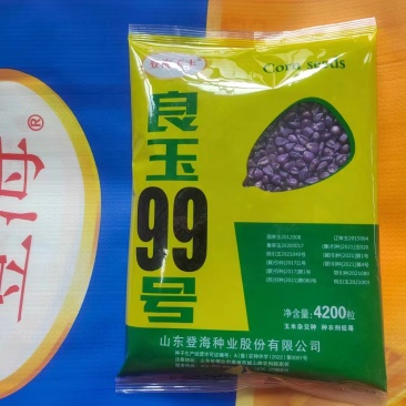 玉米种子