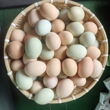 绿壳蛋土鸡蛋