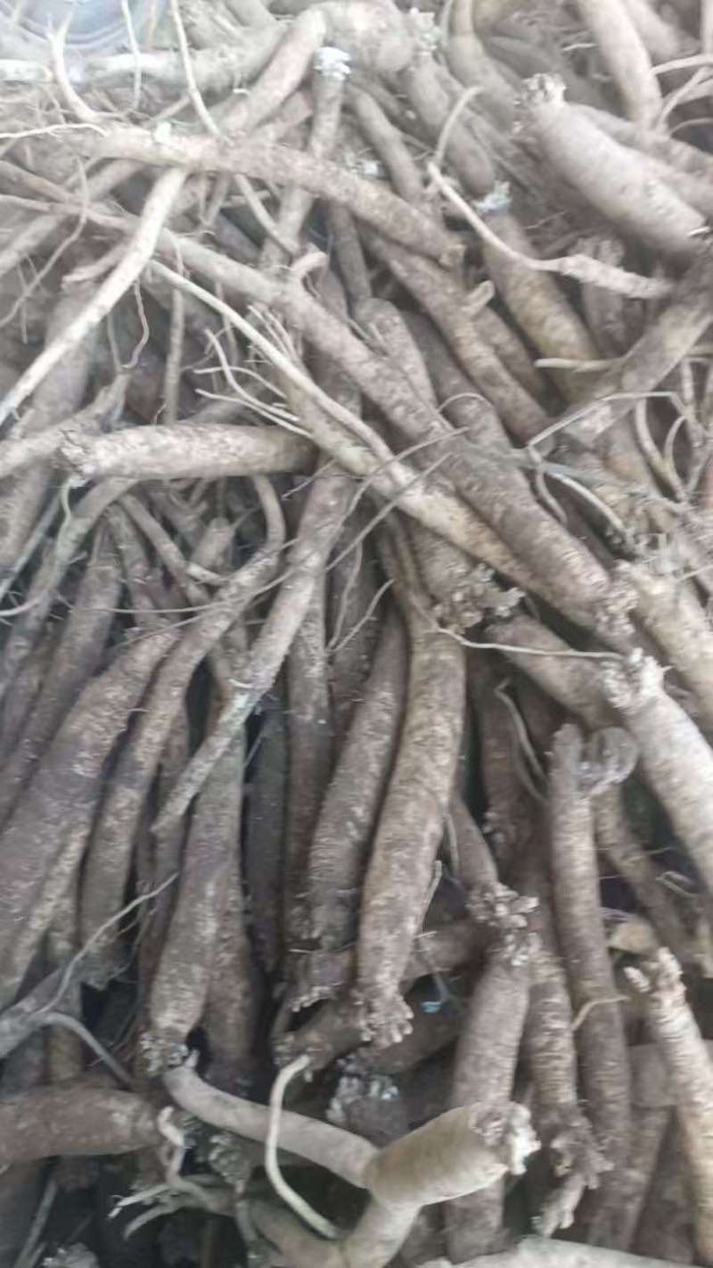 各种规格应有尽有需要的老板请联系