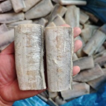 精品干冻带鱼段厂家直销量大从优