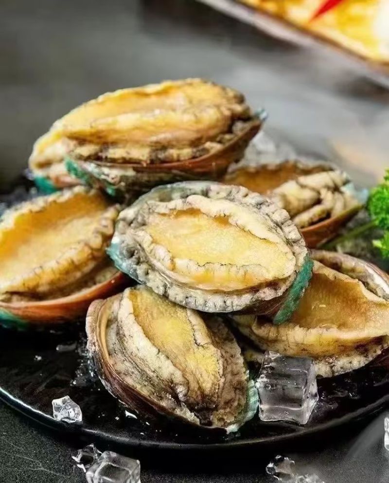 精品鲍鱼一手货源厂家直销量大从优