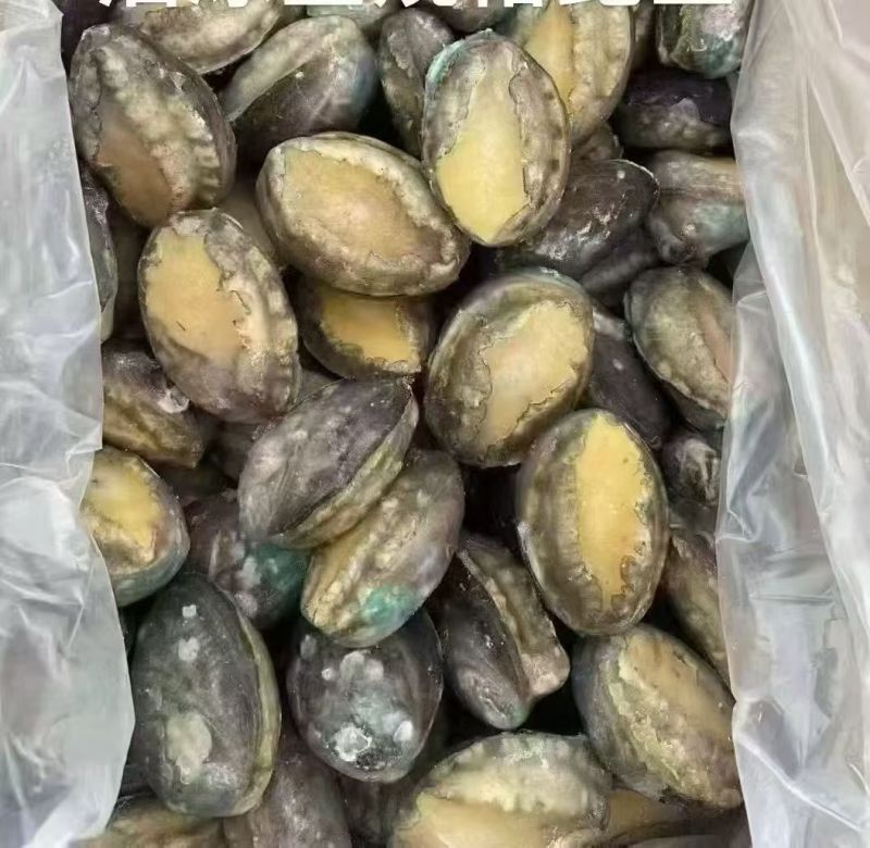精品鲍鱼一手货源大量现货量大从优