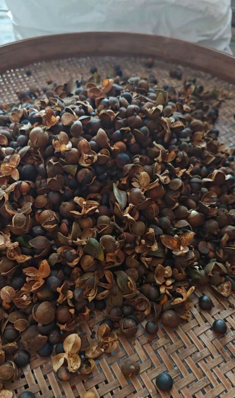 连州山茶油