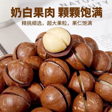 新货夏威夷果大颗粒奶香味支持各大电商平台一件代发