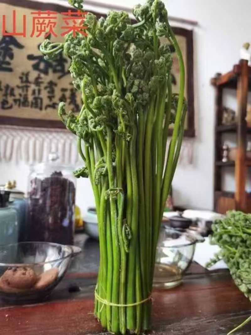 内蒙山野菜