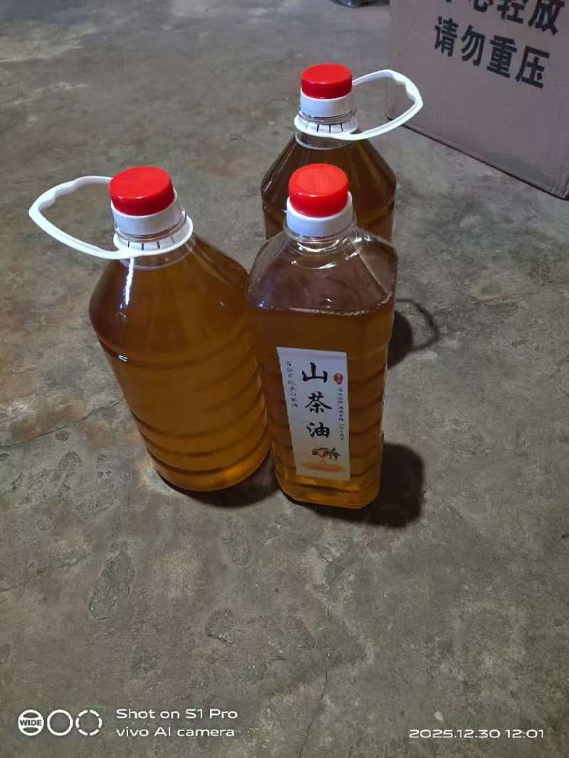 龙潭山茶油