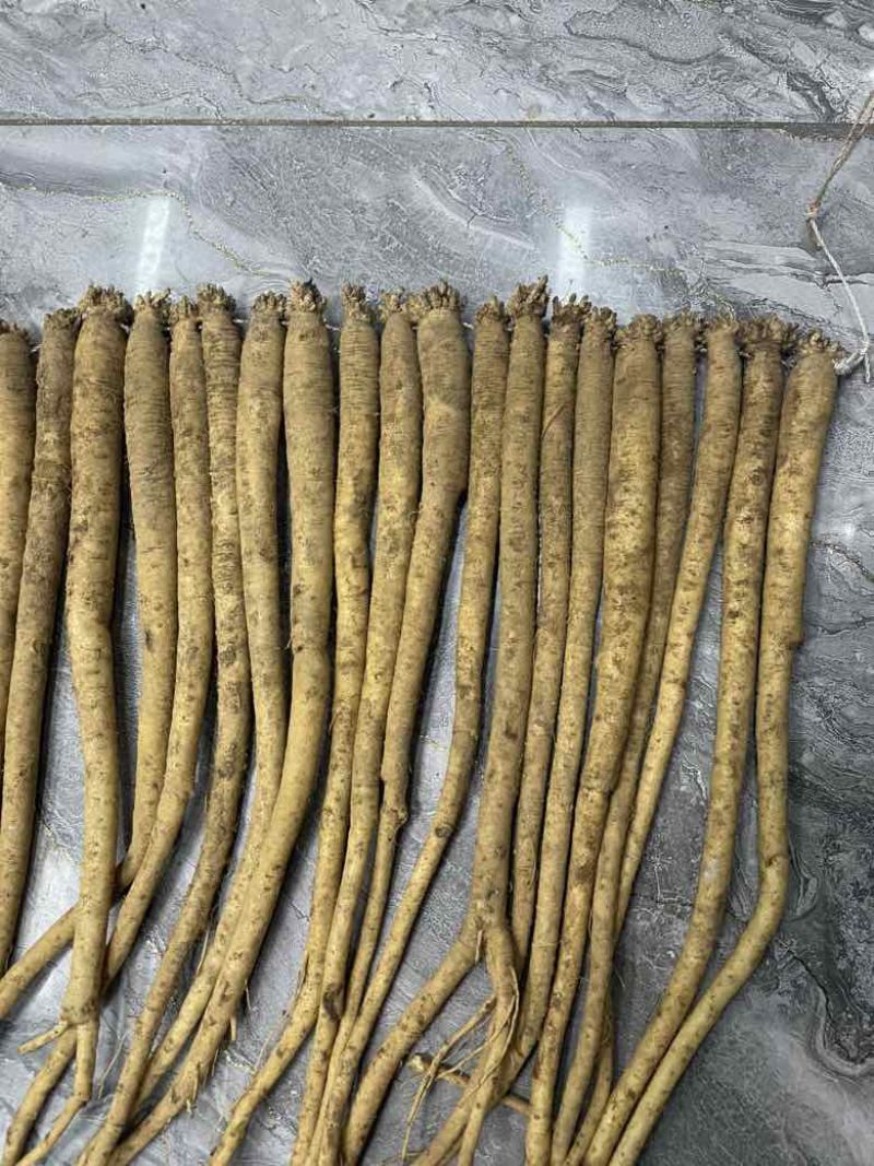 各种规格都有鲜货快结束了需要的老板抓紧联系哦
