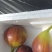 山东无花果