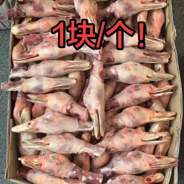 新鲜鸭胚头，大丫头，带一段小脖子，价格超低，适合摆摊卤味
