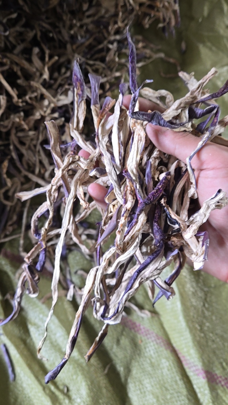 茄子条紫长茄