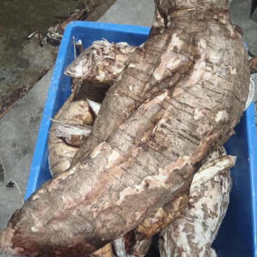 葛根粉