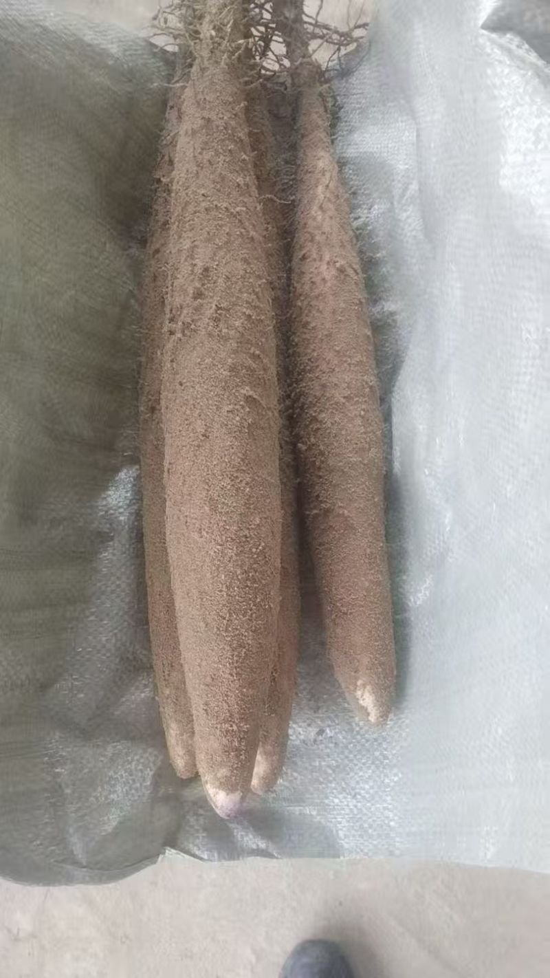 都是很漂亮的货自家种植