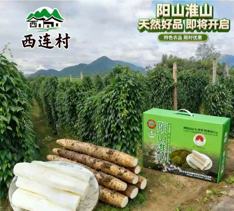 都是很漂亮的货自家种植