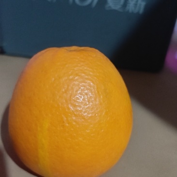 重庆奉节脐橙，