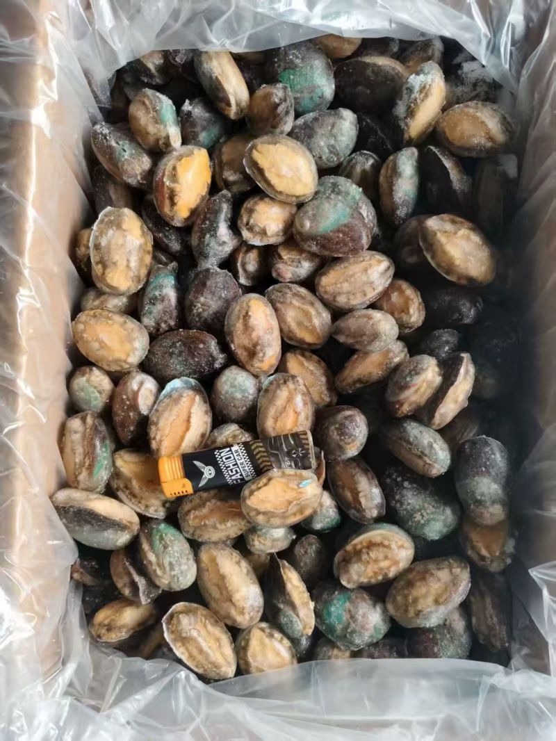 带壳鲍鱼，鲍鱼肉