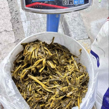 咸菜苔，油菜苔，咸菜