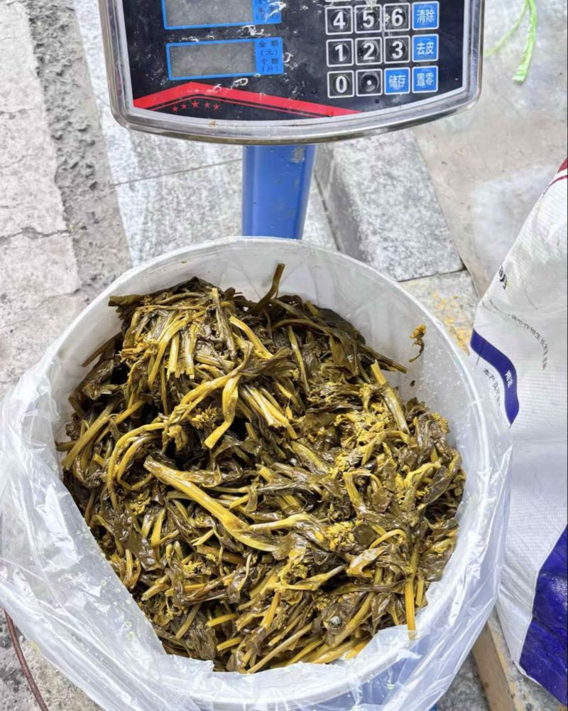 咸菜苔，油菜苔，咸菜