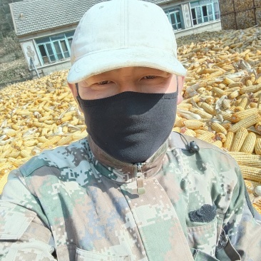 玉米