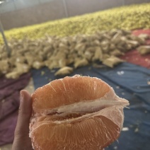 三红柚，红心柚