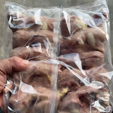 三级扒皮鹌鹑2万只