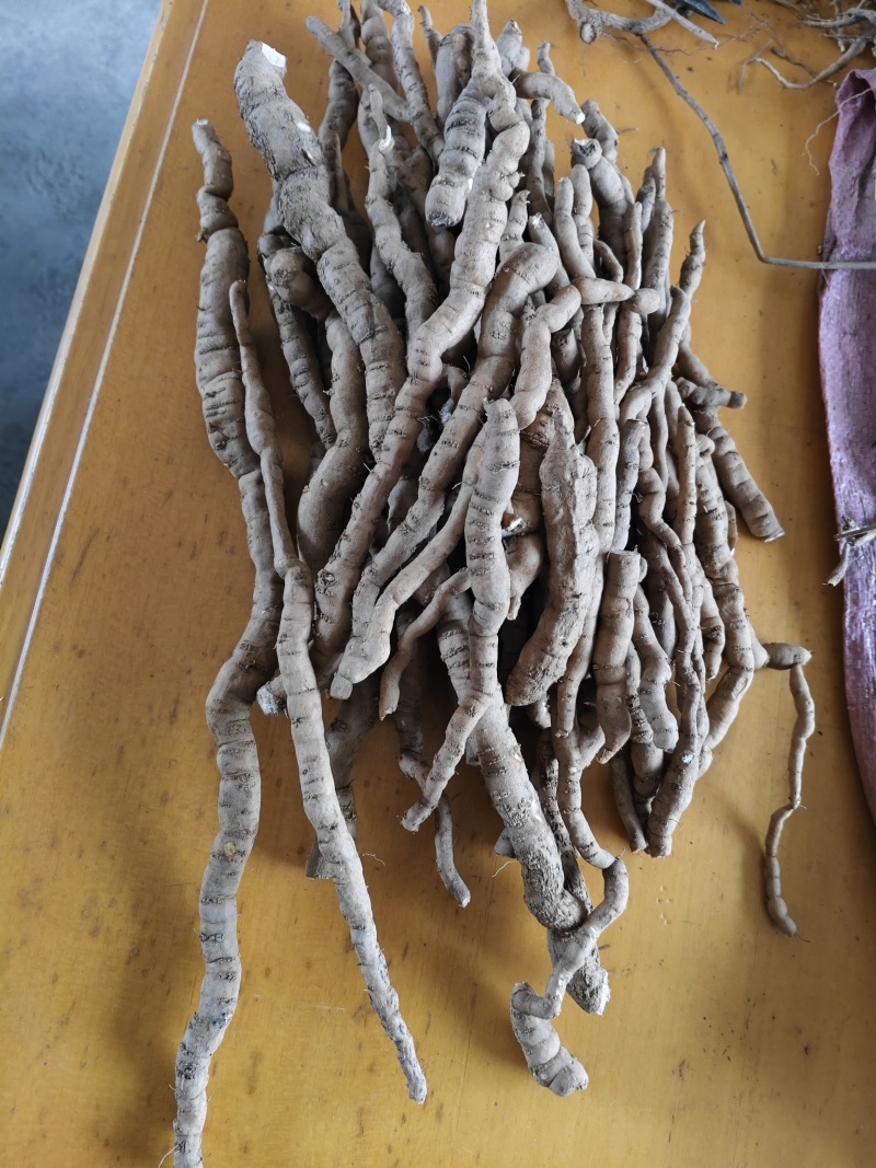 粉防己鲜货统货