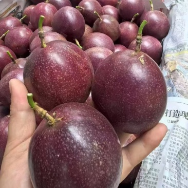 金都3号蜜桃百香果