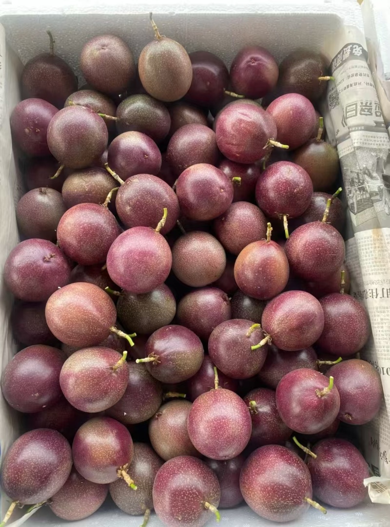金都3号蜜桃百香果