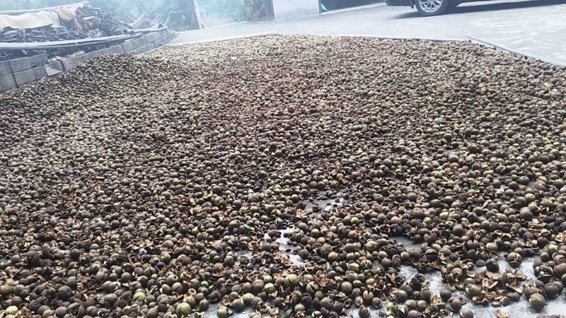山茶油