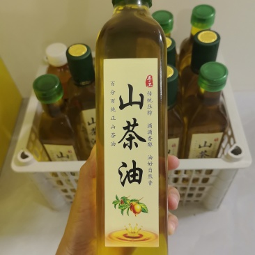 海南澄迈野生正宗山茶油