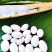 新鲜采收白，红刀豆籽大货