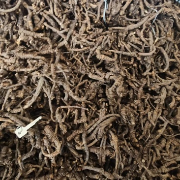 高含量野生羌活