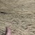 纯红薯粉条