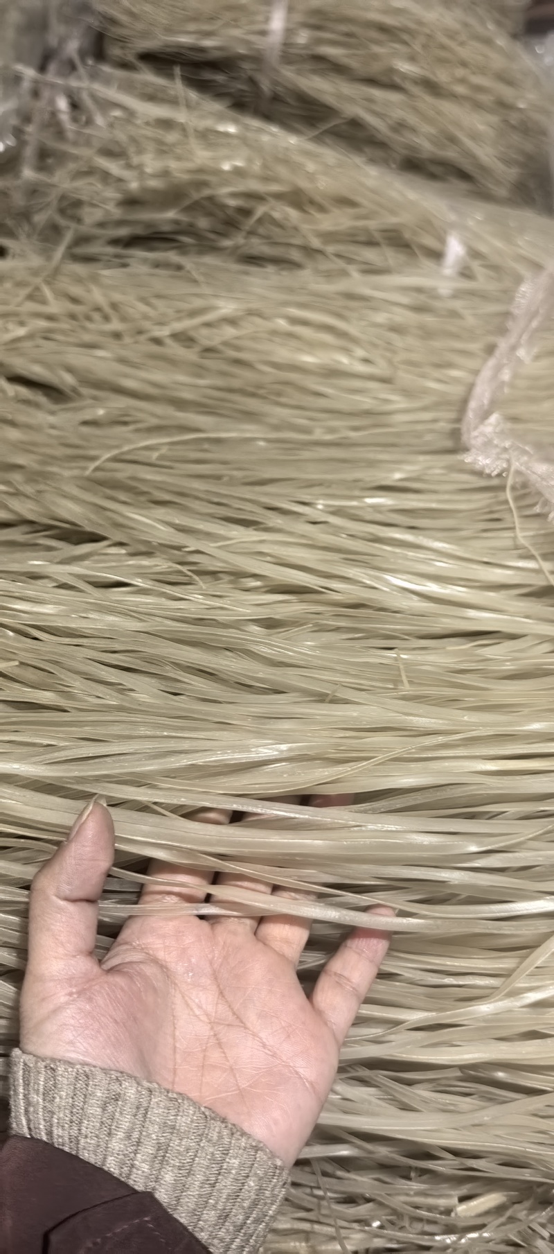 纯红薯粉条